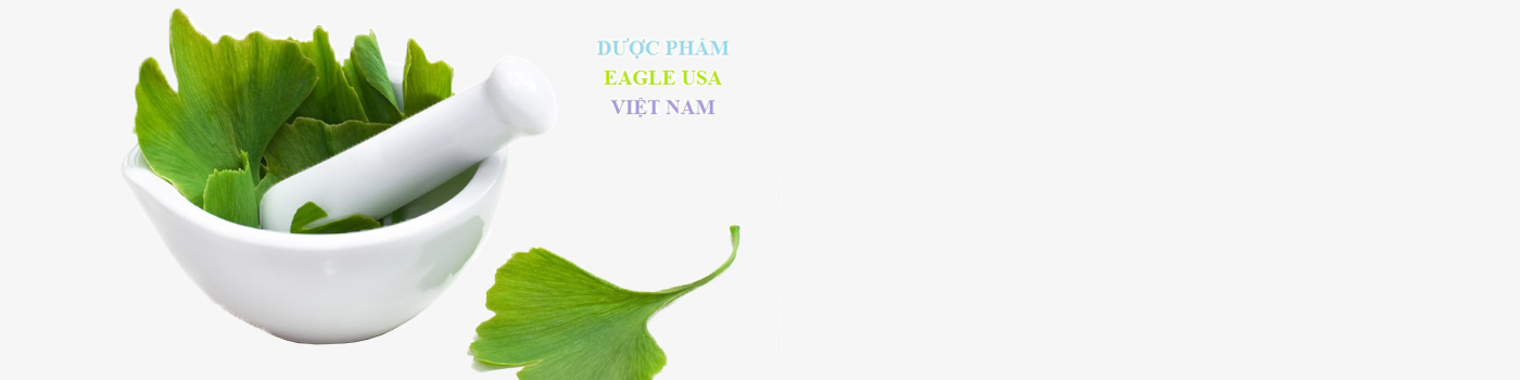 eagle-usa-vietnam-slide-01